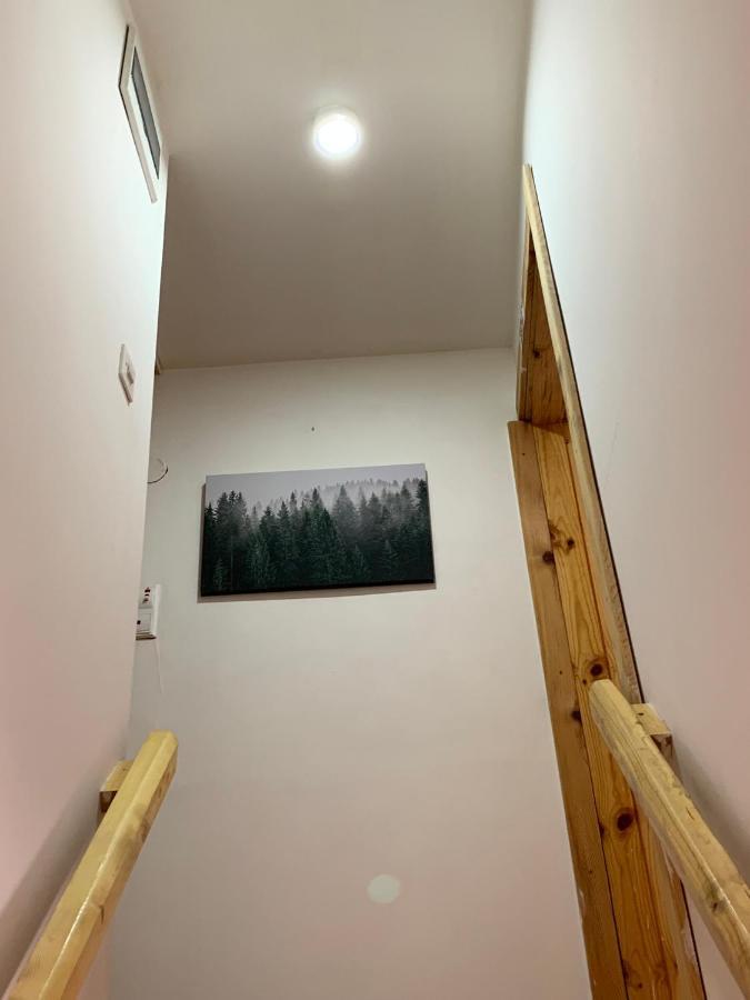 Mountain Vista Chalet Zabljak  Exterior photo